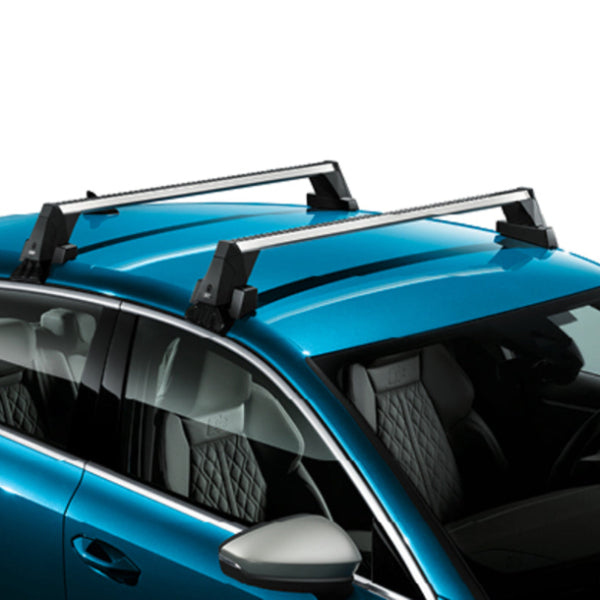 Roof Carrier - A3 (2021>Present)