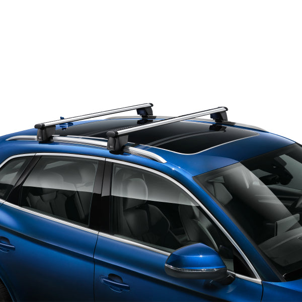 Roof Carrier - Q4 e-tron - (2022>Present)