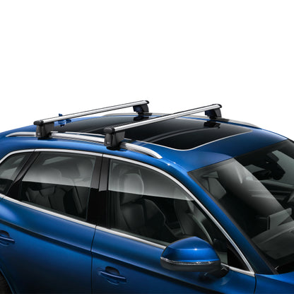 Roof Carrier - Q4 e-tron - (2022>Present)
