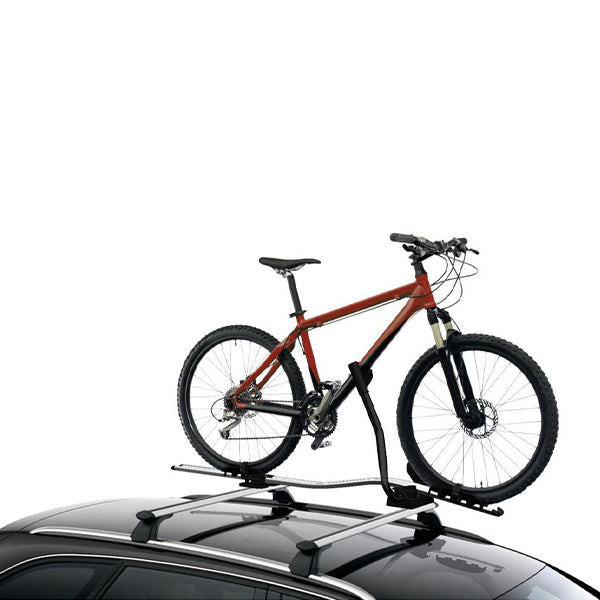 Bicycle Rack
