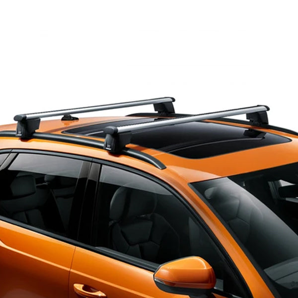 Roof Carrier - Q3 (2019>2025)