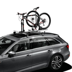 Lockable Bicycle Fork Mount